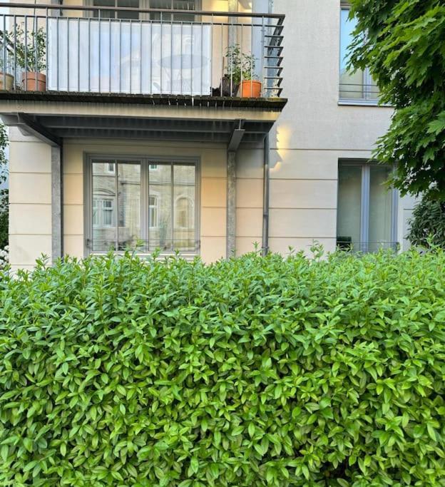 Gemuetliches Apartment Im Herzen Detmolds Luaran gambar